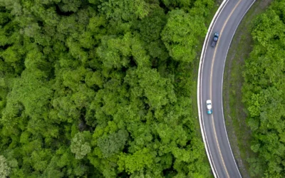 Sustentabilidade: qual a importância e como funciona.